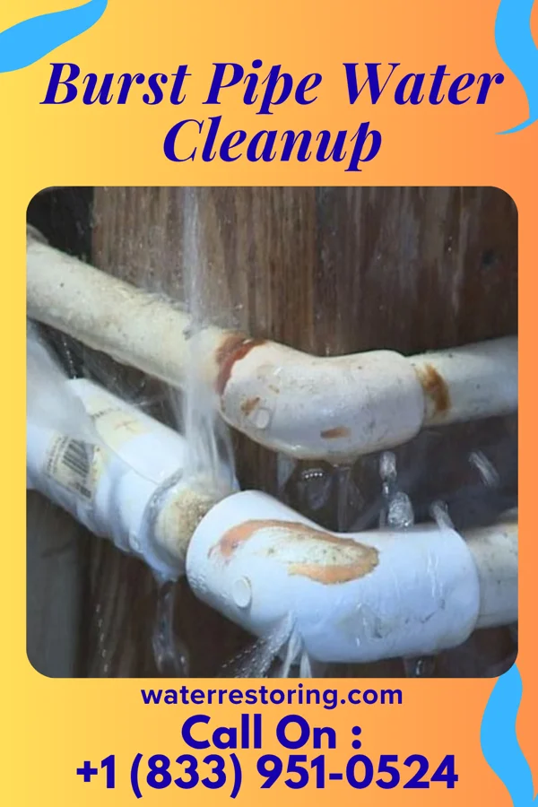 Burst Pipe Water Cleanup in Popejoy, IA