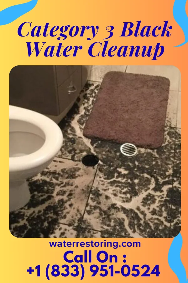 Category 3 Black Water Cleanup in Popejoy, IA