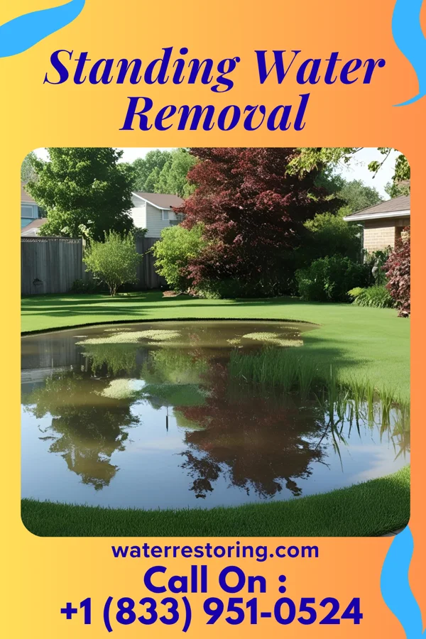 Standing Water Removal in Popejoy, IA